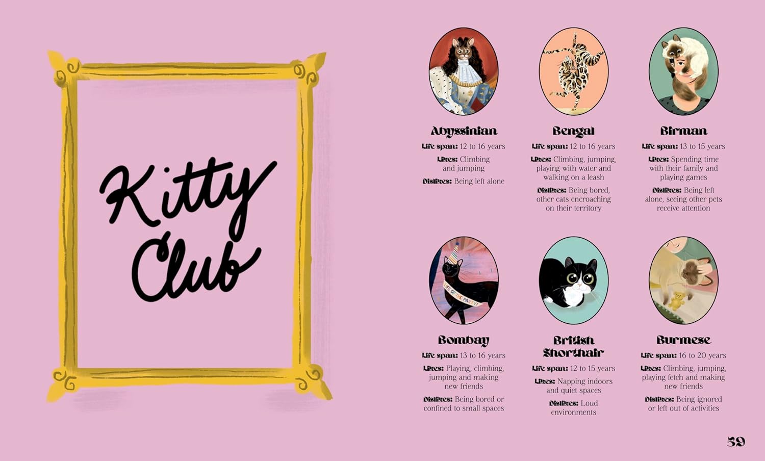 Catphabet: A whimsical celebration of our favourite feline friends, for fans of Grumpy Cat and What Cats Want