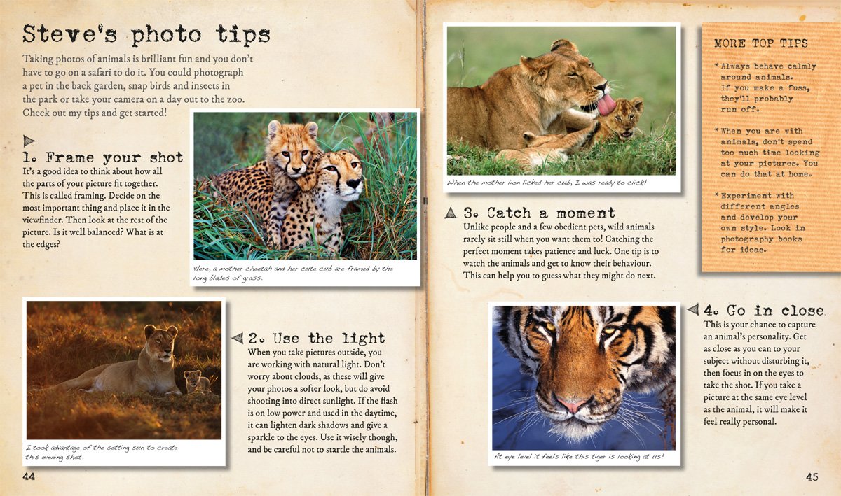 My Big Cats Journal: In search of lions, leopards, cheetahs and tigers