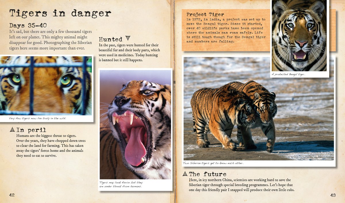 My Big Cats Journal: In search of lions, leopards, cheetahs and tigers