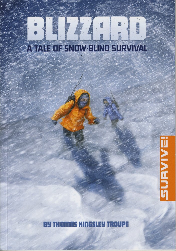 Blizzard: A Tale of Snow-Blind Survival (Survive!)