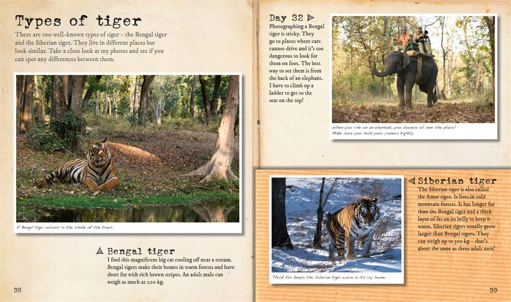 My Big Cats Journal: In search of lions, leopards, cheetahs and tigers