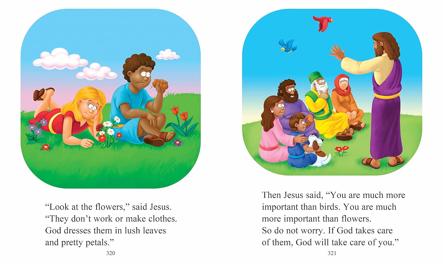 The Beginners Bible