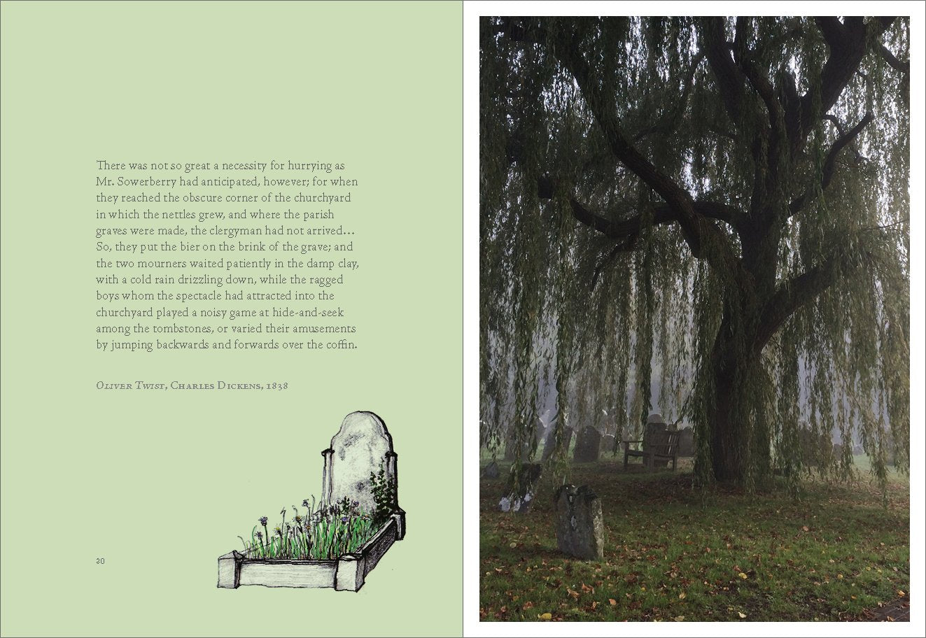 Earth to Earth: A Natural History of Churchyards