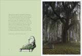 Earth to Earth: A Natural History of Churchyards