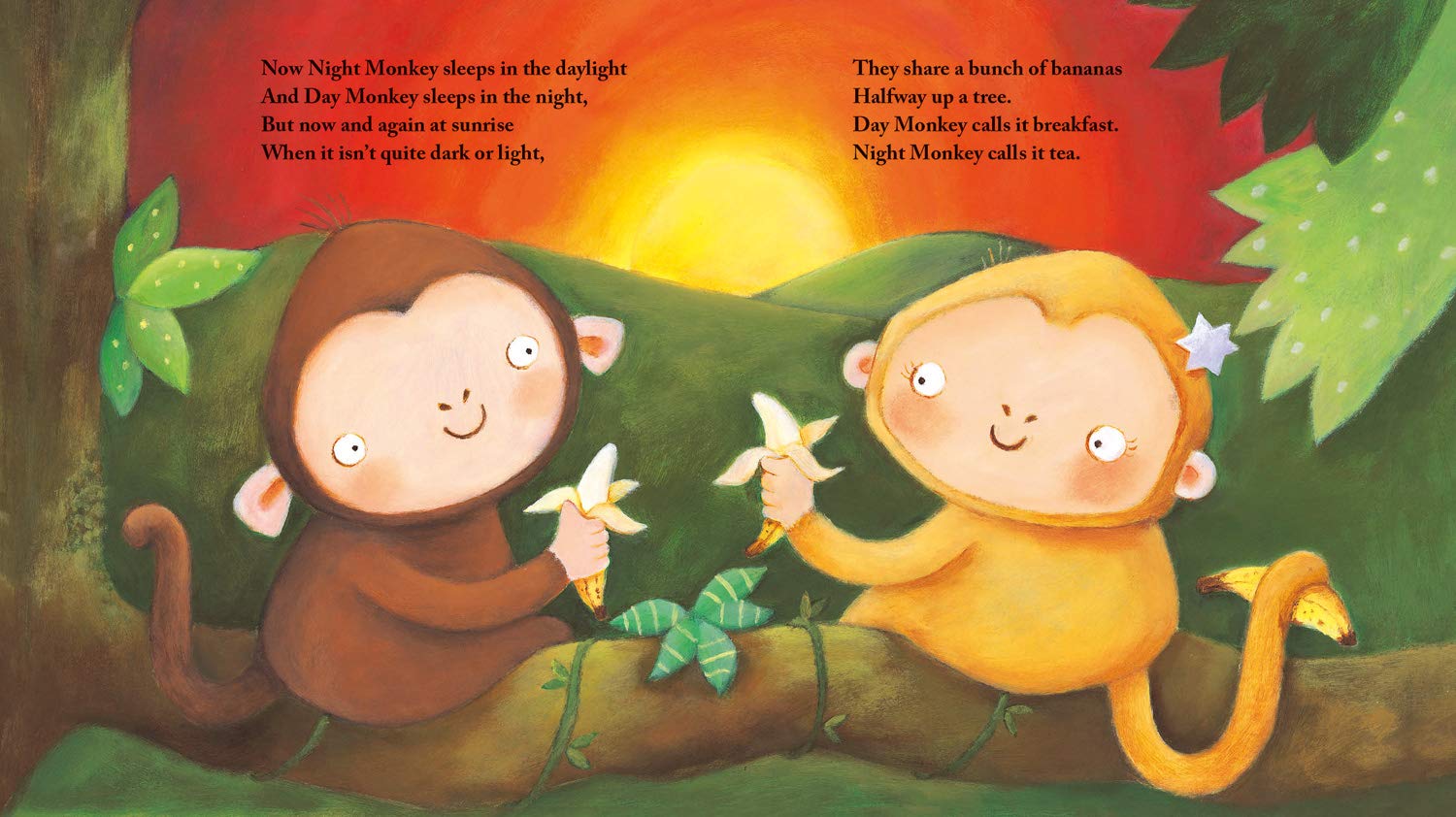 Night Monkey, Day Monkey
