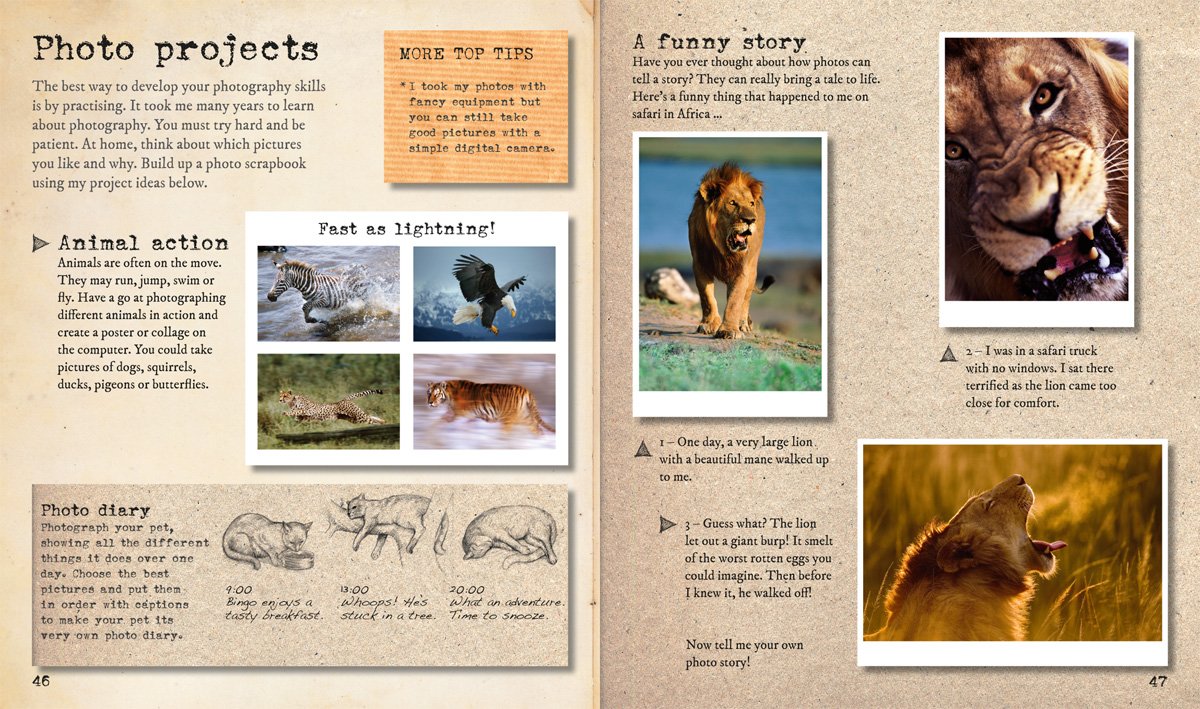 My Big Cats Journal: In search of lions, leopards, cheetahs and tigers