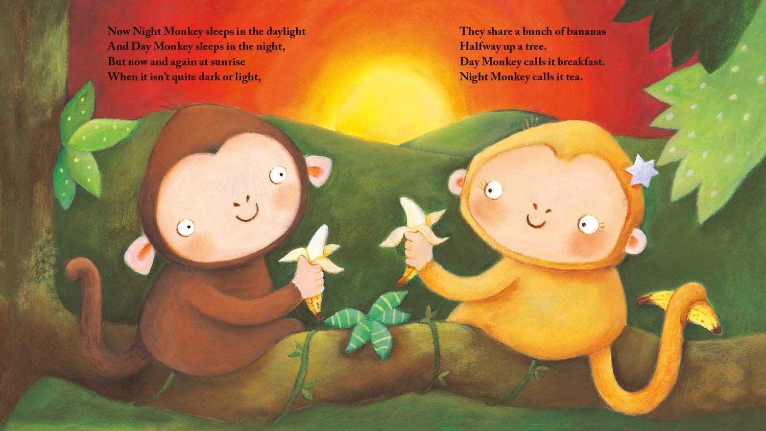 Night Monkey, Day Monkey (Board book)