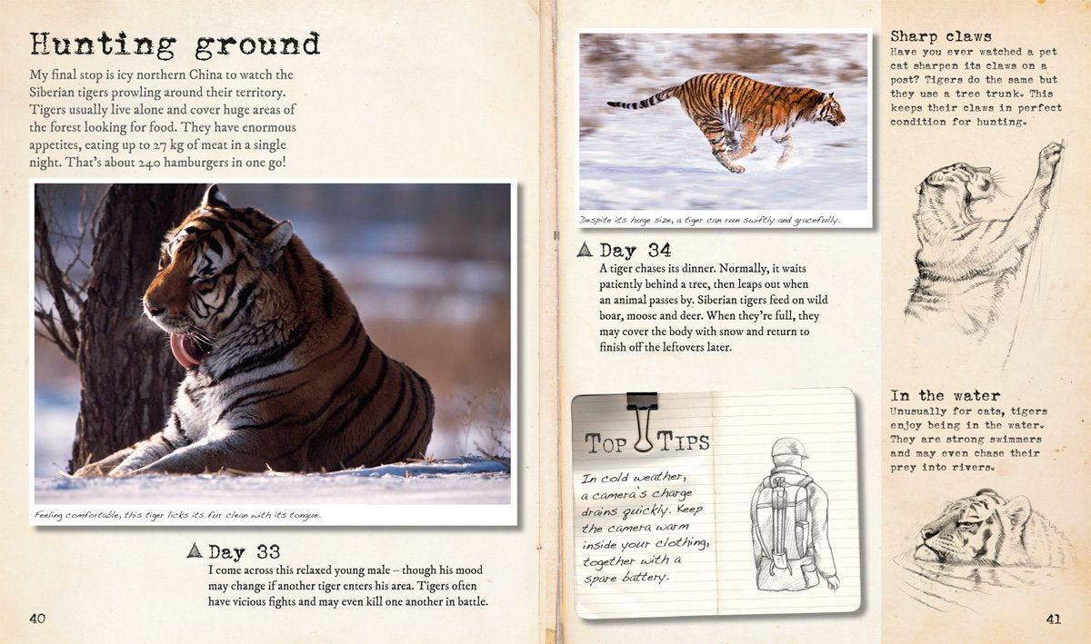 My Big Cats Journal: In search of lions, leopards, cheetahs and tigers