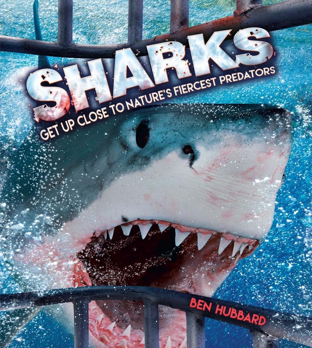 Sharks - Get Up Close