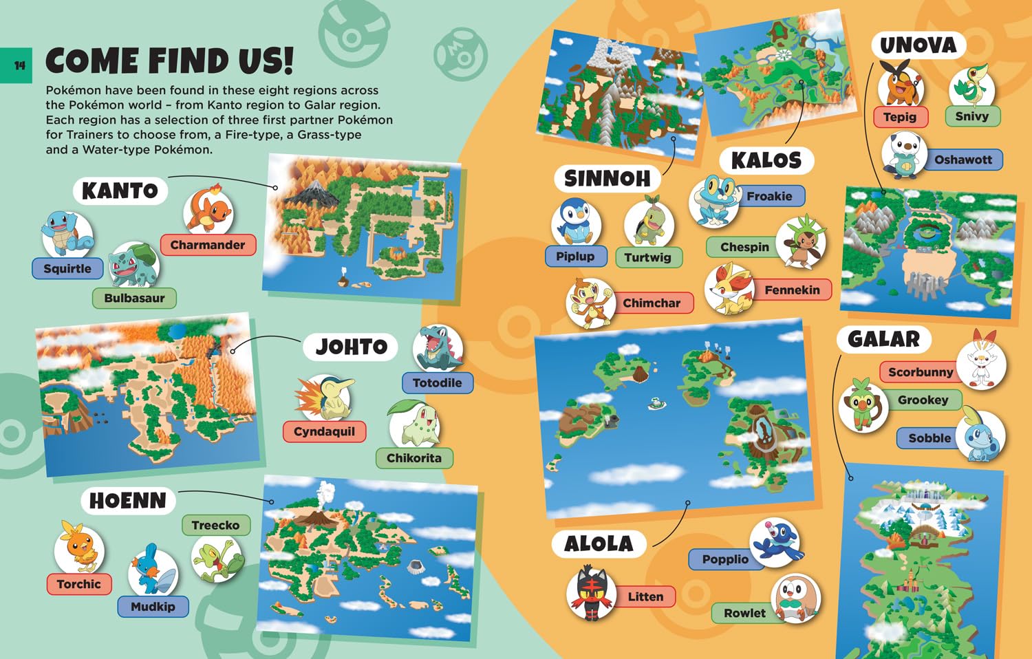 POKEMON Beginners Guide
