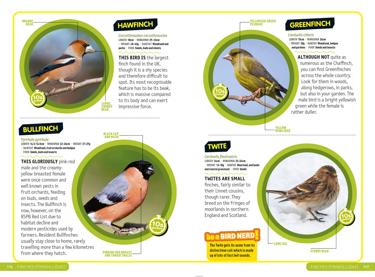 Ultimate Explorer Field Guides British Birds: Find Adventure! Have Fun outdoors! Be a bird spotter!