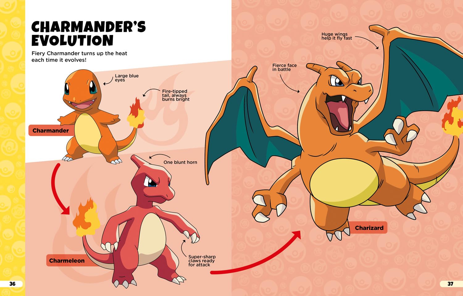 Pokémon: Evolutions Guide