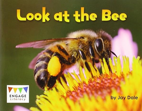 Look at the Bee (Engage Literacy: Engage Literacy Pink)