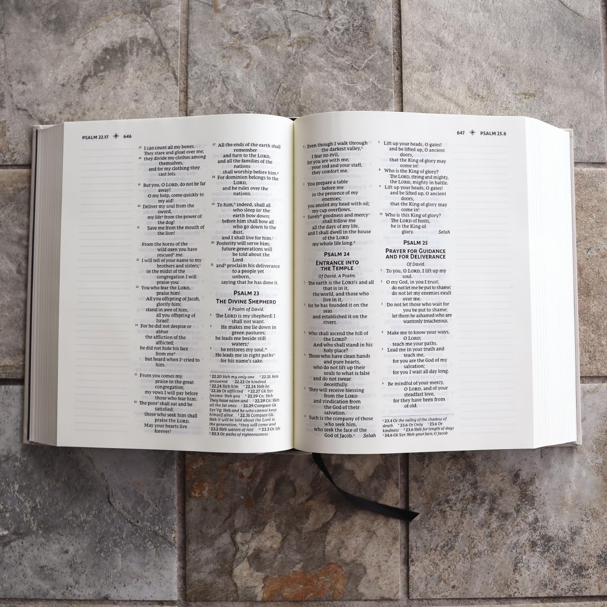 NRSVue, Holy Bible with Apocrypha, Journal Edition, Cloth over Board, Cream