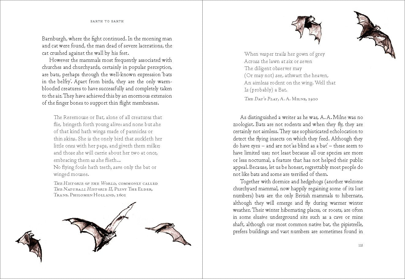 Earth to Earth: A Natural History of Churchyards