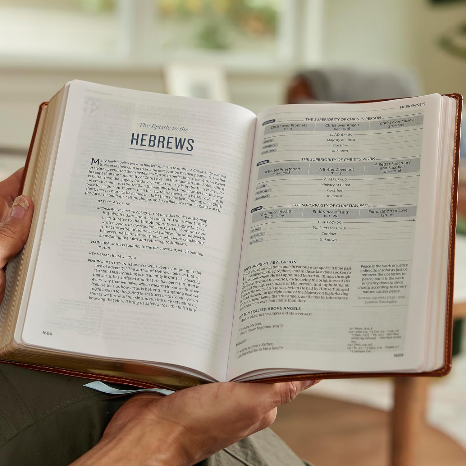 Life in Christ Bible: Discovering, Believing, and Rejoicing in Who God Says You Are