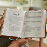 Life in Christ Bible: Discovering, Believing, and Rejoicing in Who God Says You Are