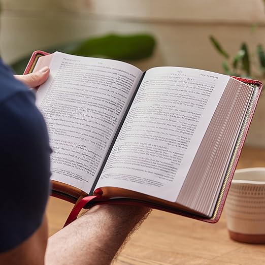 KJV Holy Bible: Large Print Single-Column with 43,000 End-of-Verse Cross References, Red Goatskin Leather, Premier Collection, Personal Size, Red ... James Version: Holy Bible, King James Version