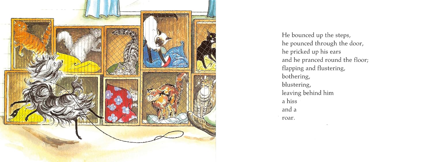 Hairy Maclary's Showbusiness (Hairy Maclary and Friends)