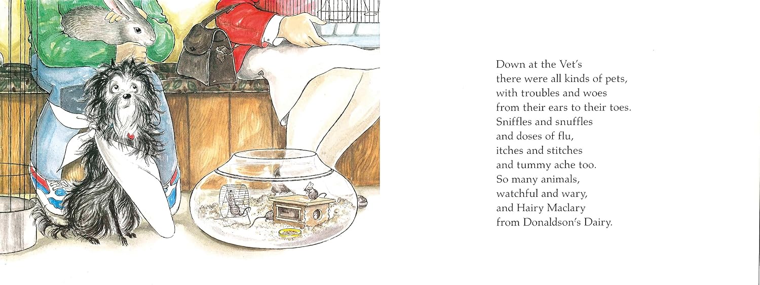 Hairy Maclary's Rumpus At The Vet (Hairy Maclary and Friends)