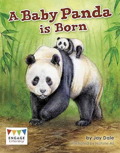 A Baby Panda is Born - Engage Literacy White (Paperback)