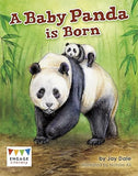 A Baby Panda is Born - Engage Literacy White (Paperback)