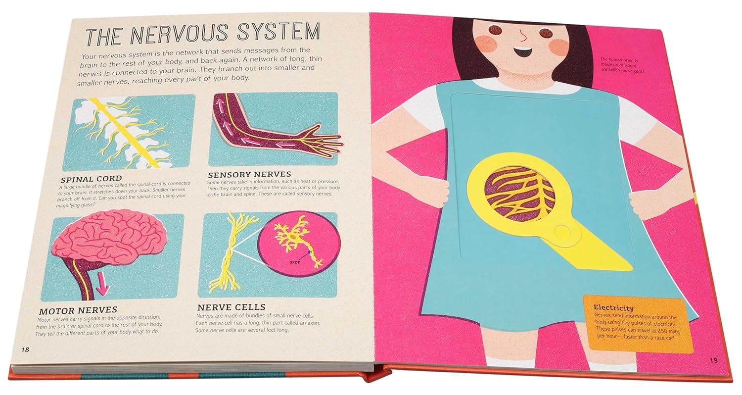 Magic Magnifying Glass: Human Body