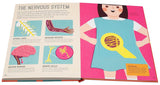 Magic Magnifying Glass: Human Body