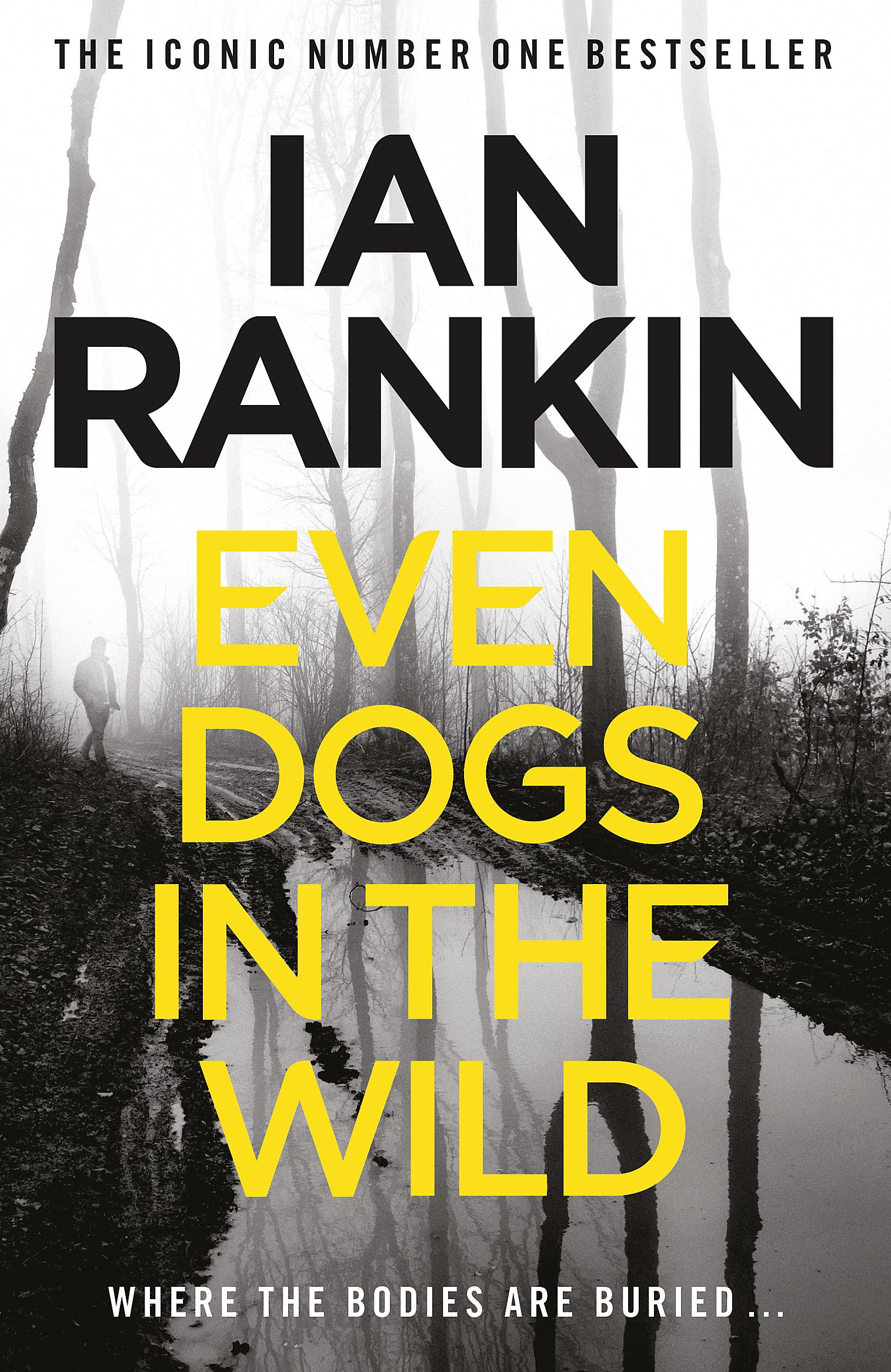 Ian Rankin collection x3 (Rebus)