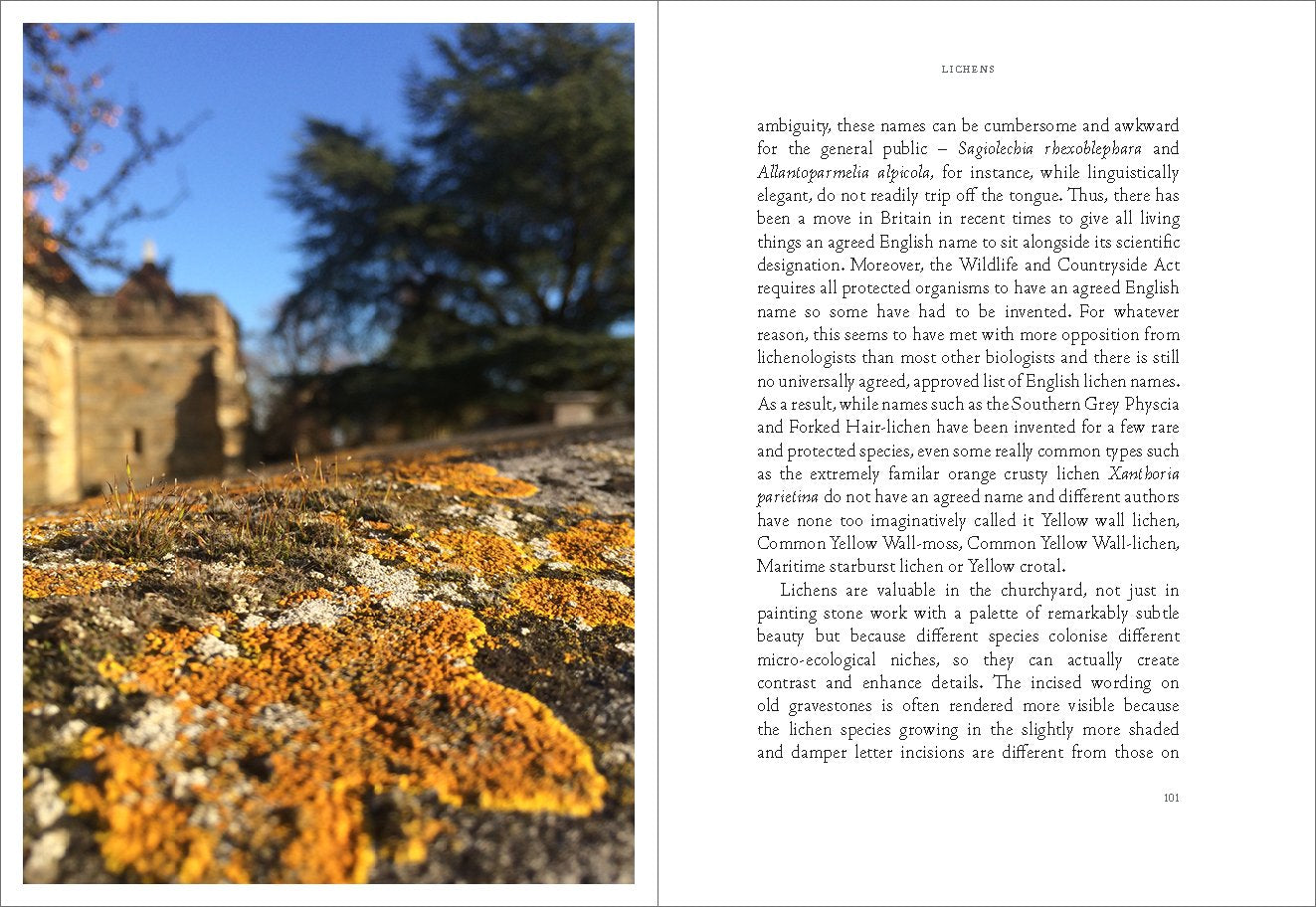 Earth to Earth: A Natural History of Churchyards