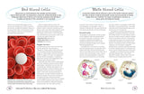 The Secret Life of the Human Body