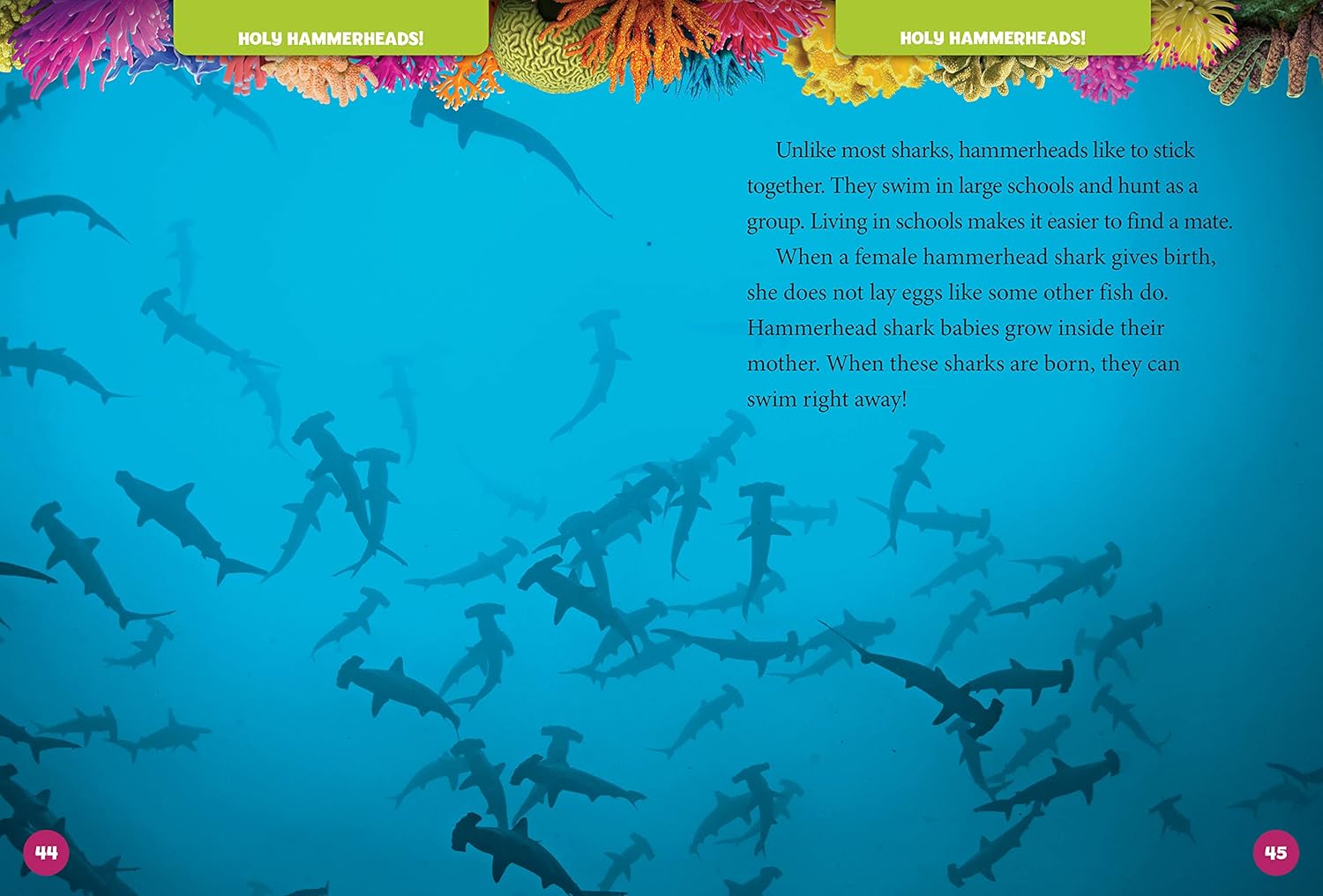 National Geographic Kids 5-Minute Shark Stories - 5-Minute Stories