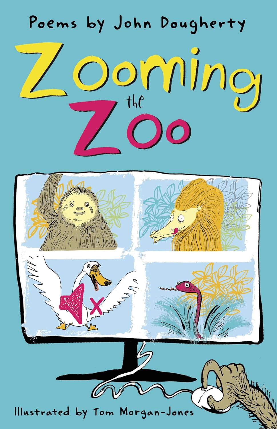 Zooming in The Zoo