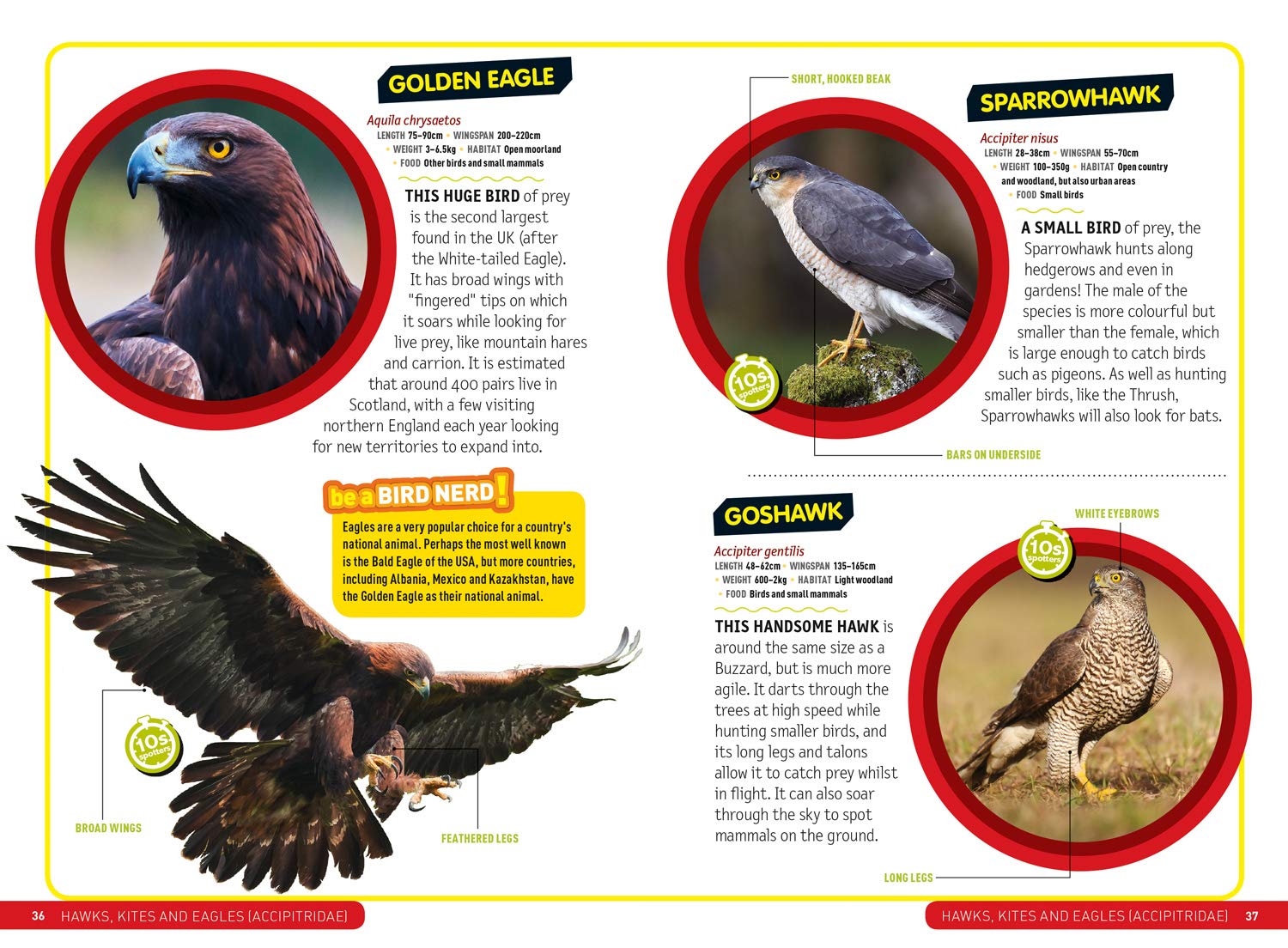 Ultimate Explorer Field Guides British Birds: Find Adventure! Have Fun outdoors! Be a bird spotter!