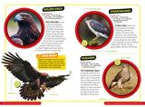 Ultimate Explorer Field Guides British Birds: Find Adventure! Have Fun outdoors! Be a bird spotter!