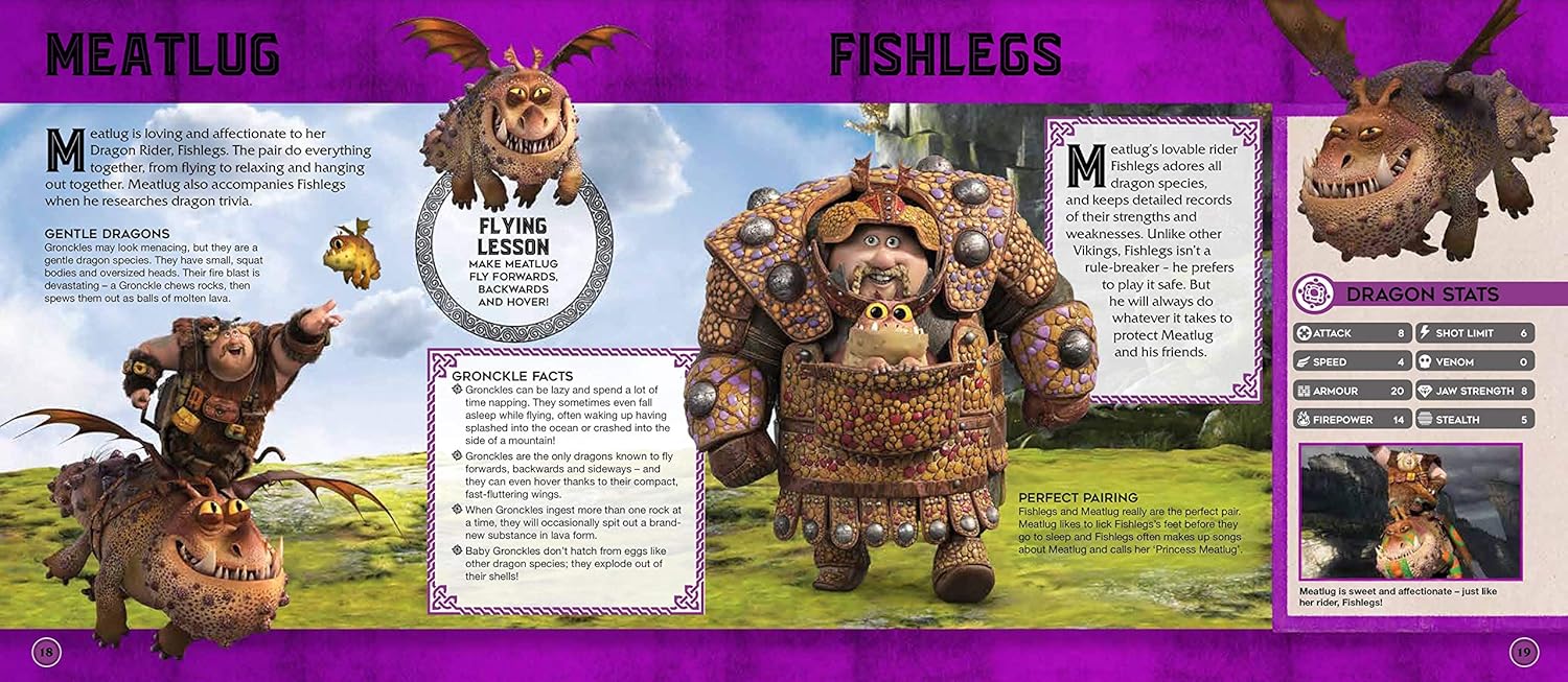 How to Train your Dragon ‚ The Hidden World 3D