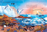 The Secret Ocean