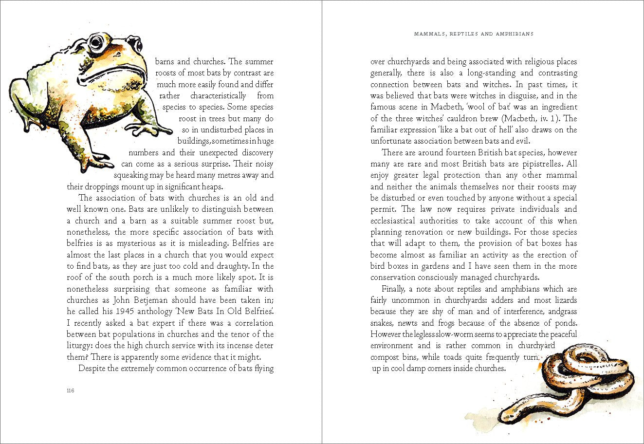 Earth to Earth: A Natural History of Churchyards