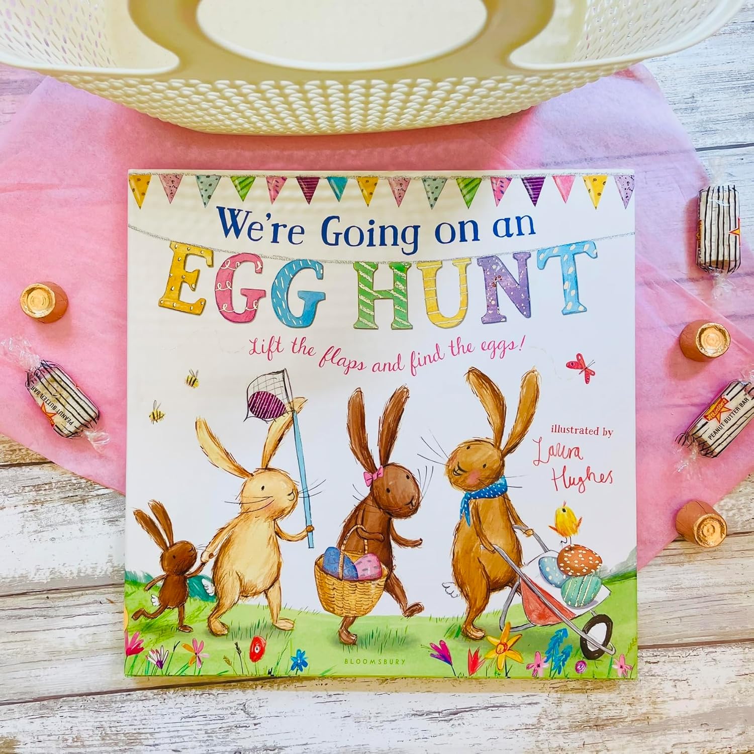 We're Going on an Egg Hunt (The Bunny Adventures)