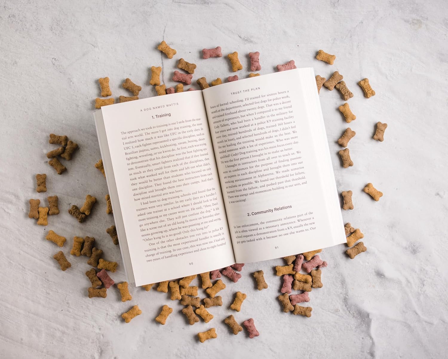 A Dog Named Mattis: 12 Lessons for Living Courageously, Serving Selflessly, and Building Bridges from a Heroic K9 Officer