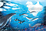 The Secret Ocean