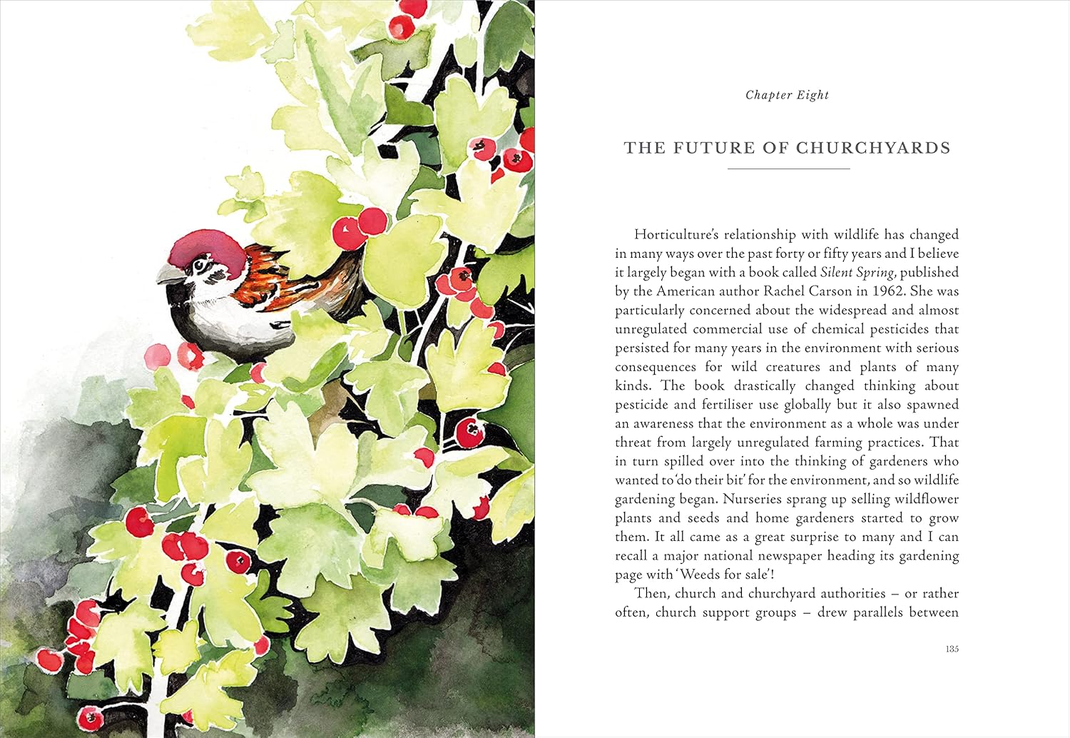 Earth to Earth: A Natural History of Churchyards