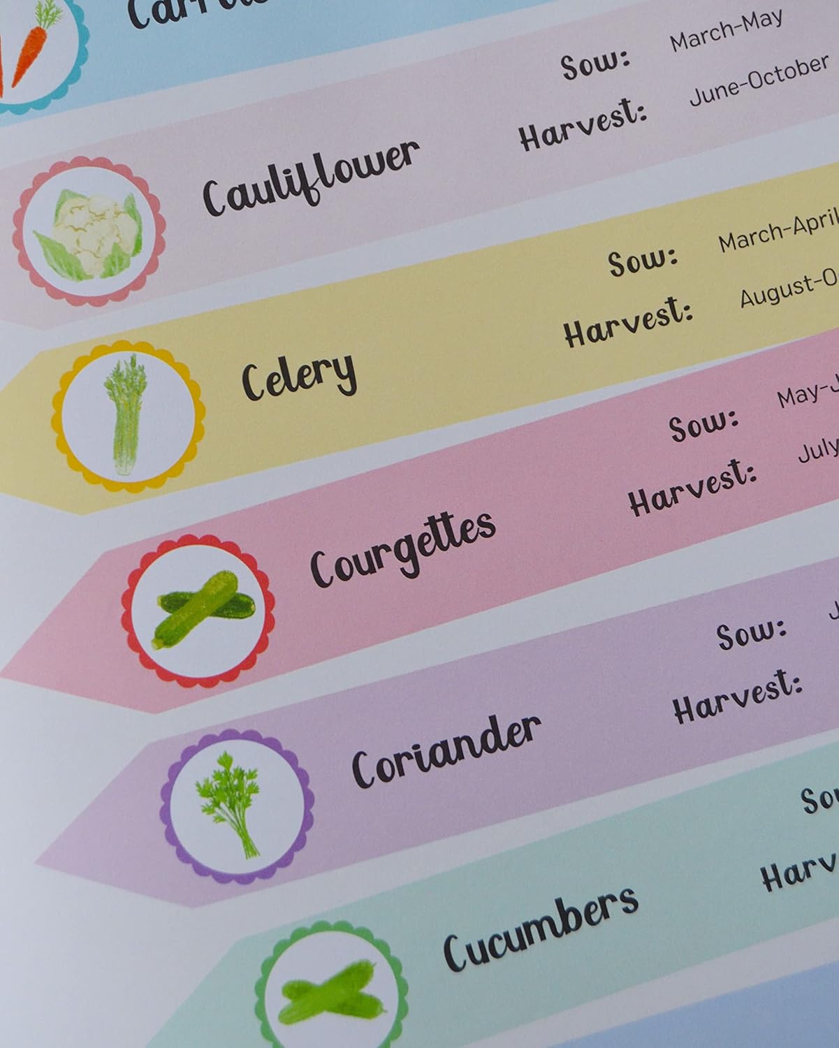 Feel Good Gardening: A Mindful Guide for Every Month of the Year