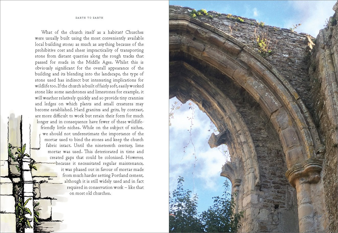 Earth to Earth: A Natural History of Churchyards