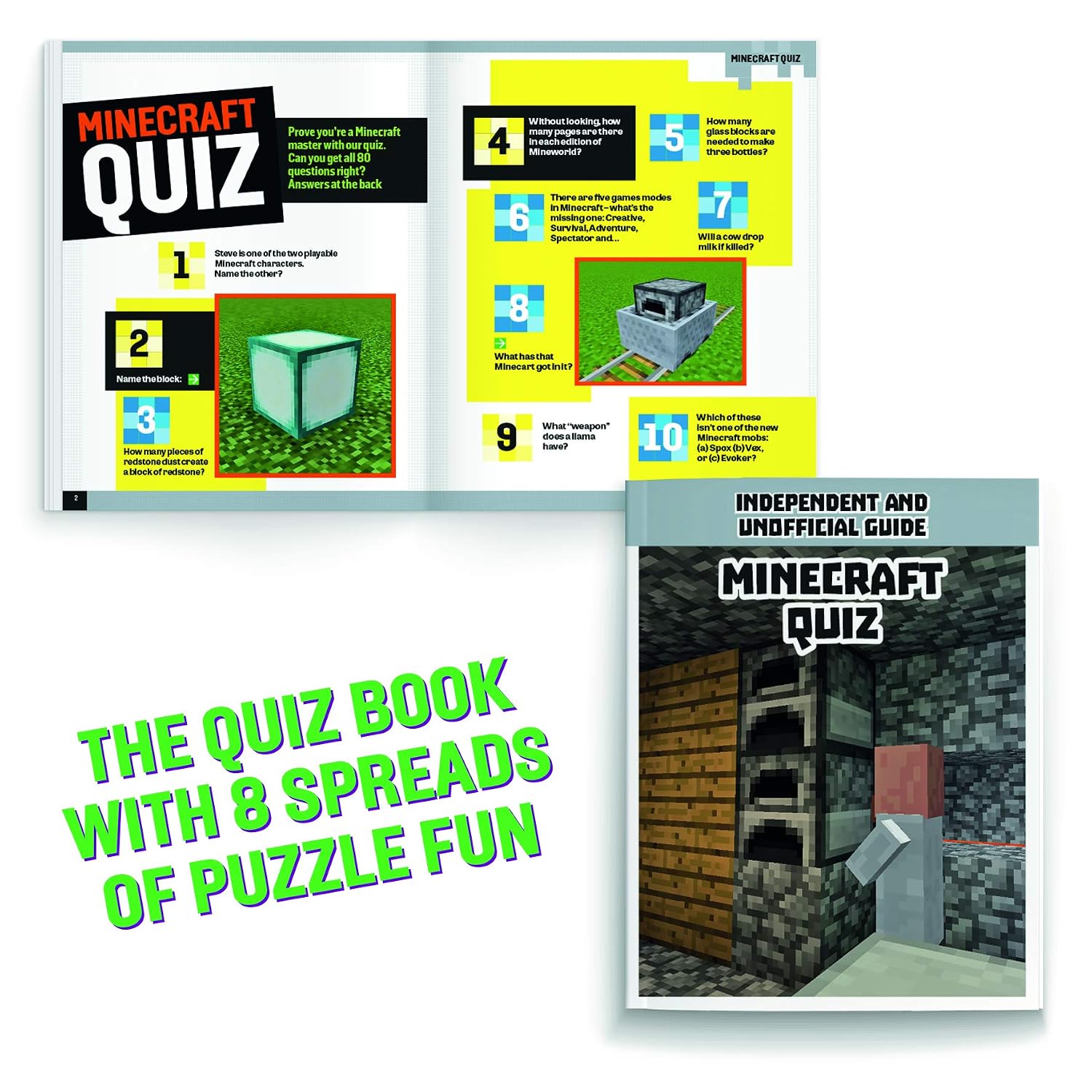 Minecraft Tin of Books