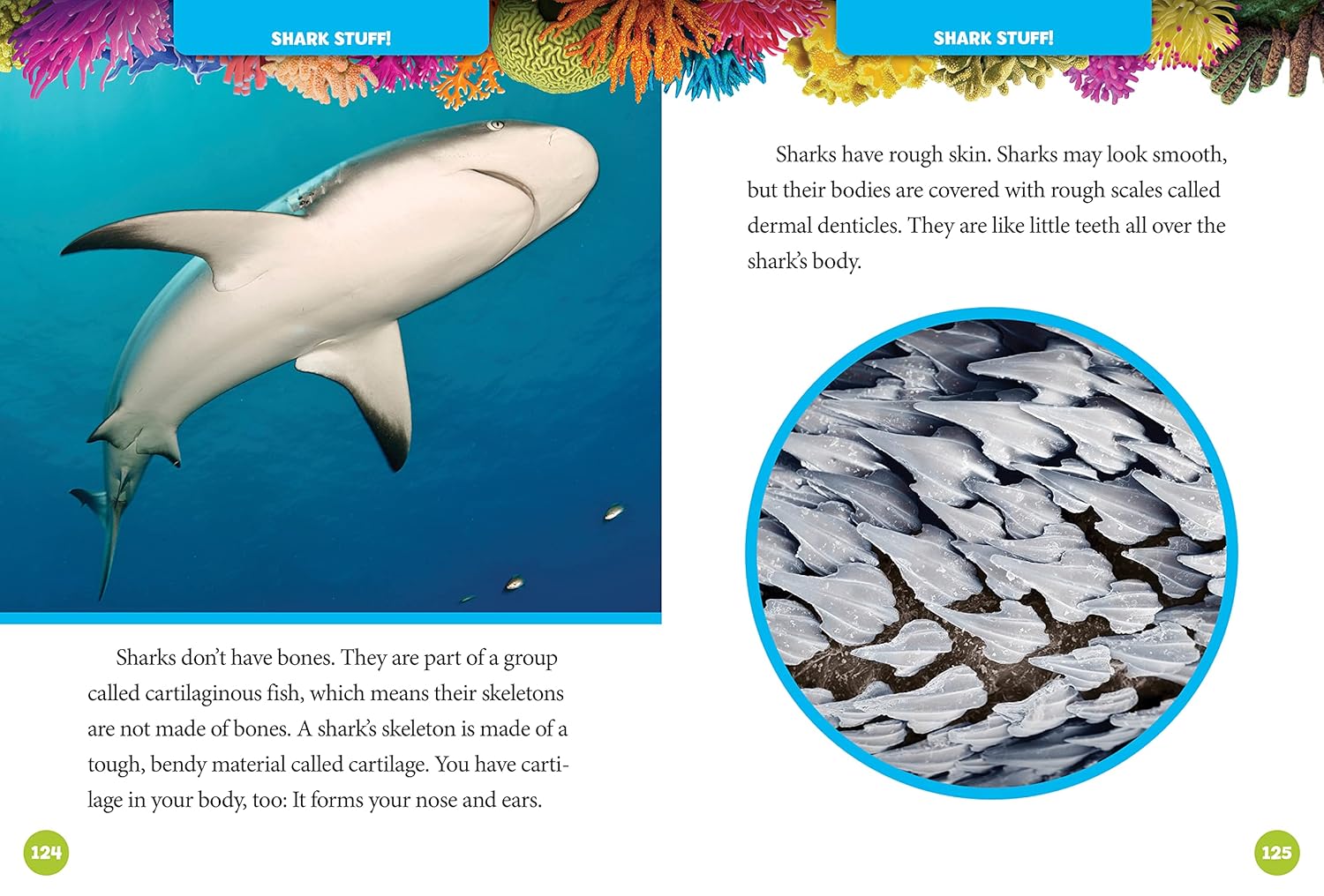 National Geographic Kids 5-Minute Shark Stories - 5-Minute Stories