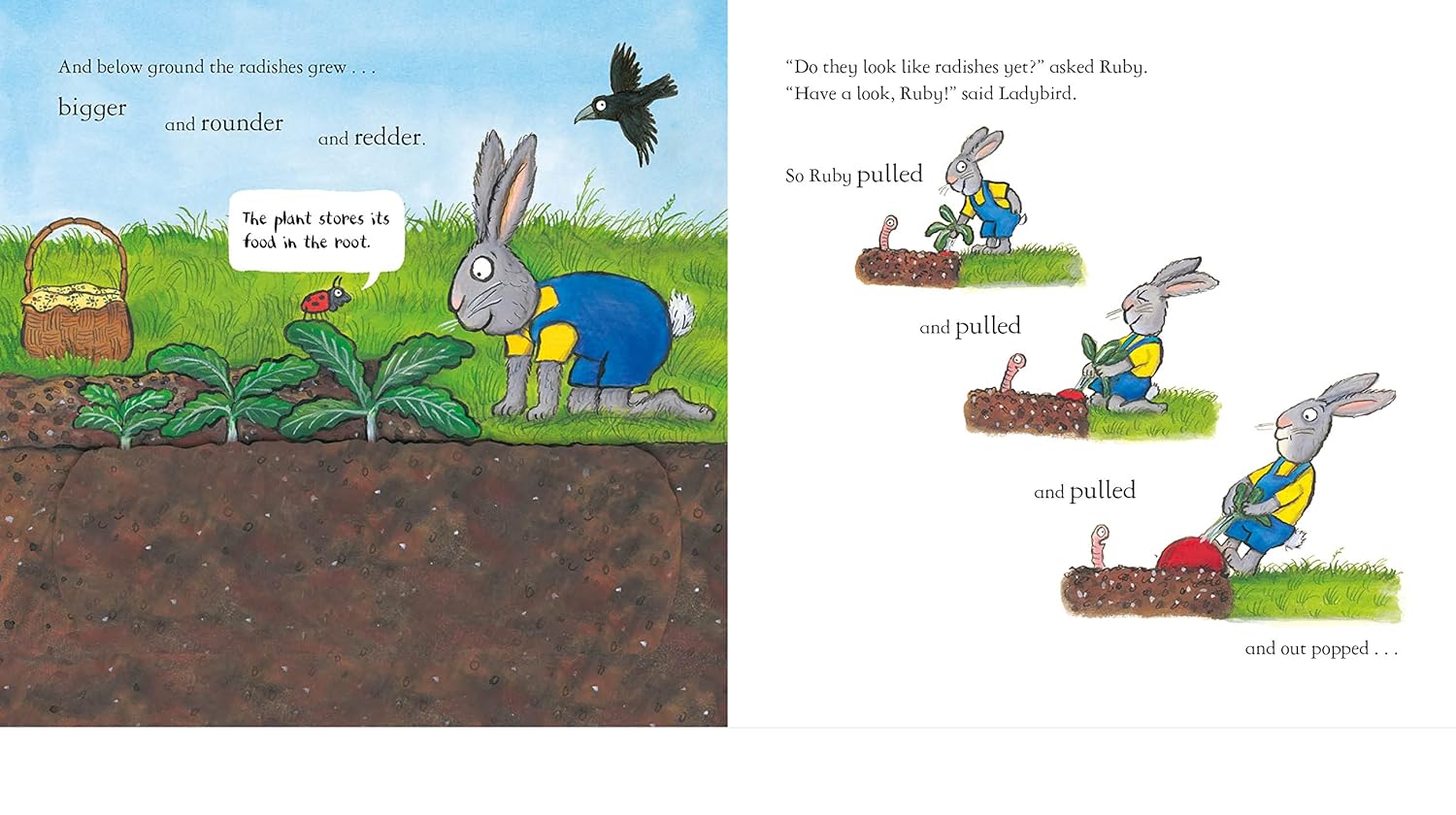 National Trust: Ruby Plants a Radish (Axel Scheffler National Trust planting books)