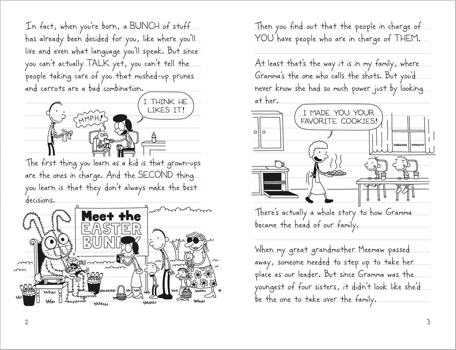 Diary of a Wimpy Kid: Hot Mess (Book 19)