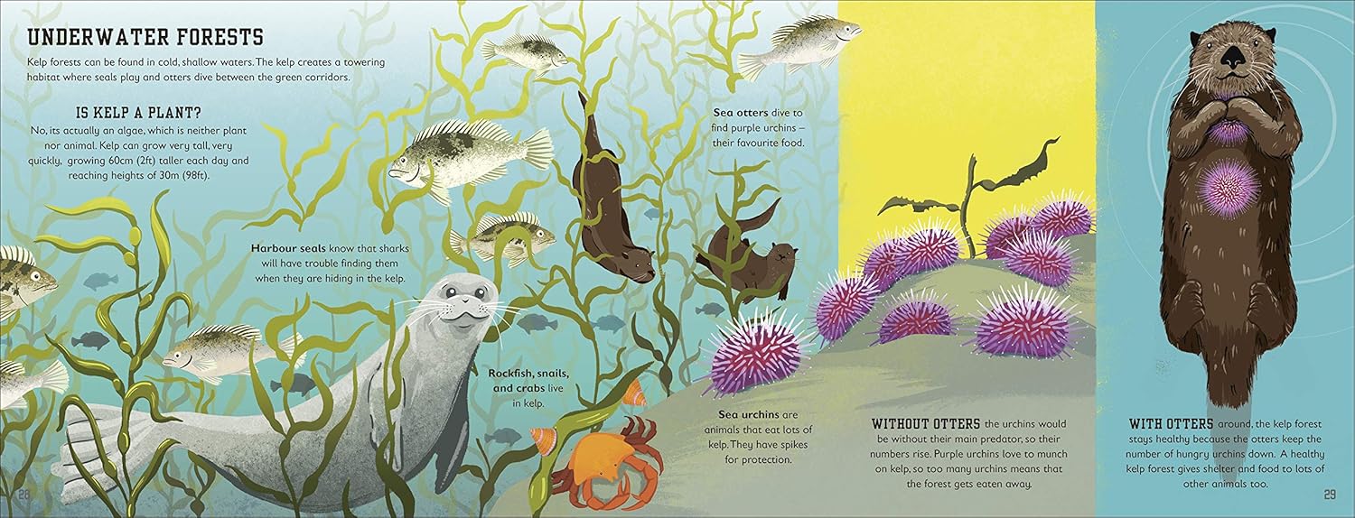 The sea book
