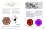 The Secret Life of the Human Body
